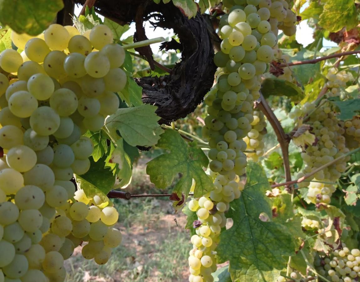 Country house Tenuta La Fratta *