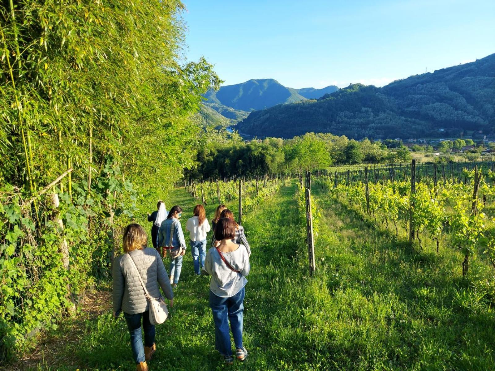 Country house Tenuta La Fratta Bagni di Lucca