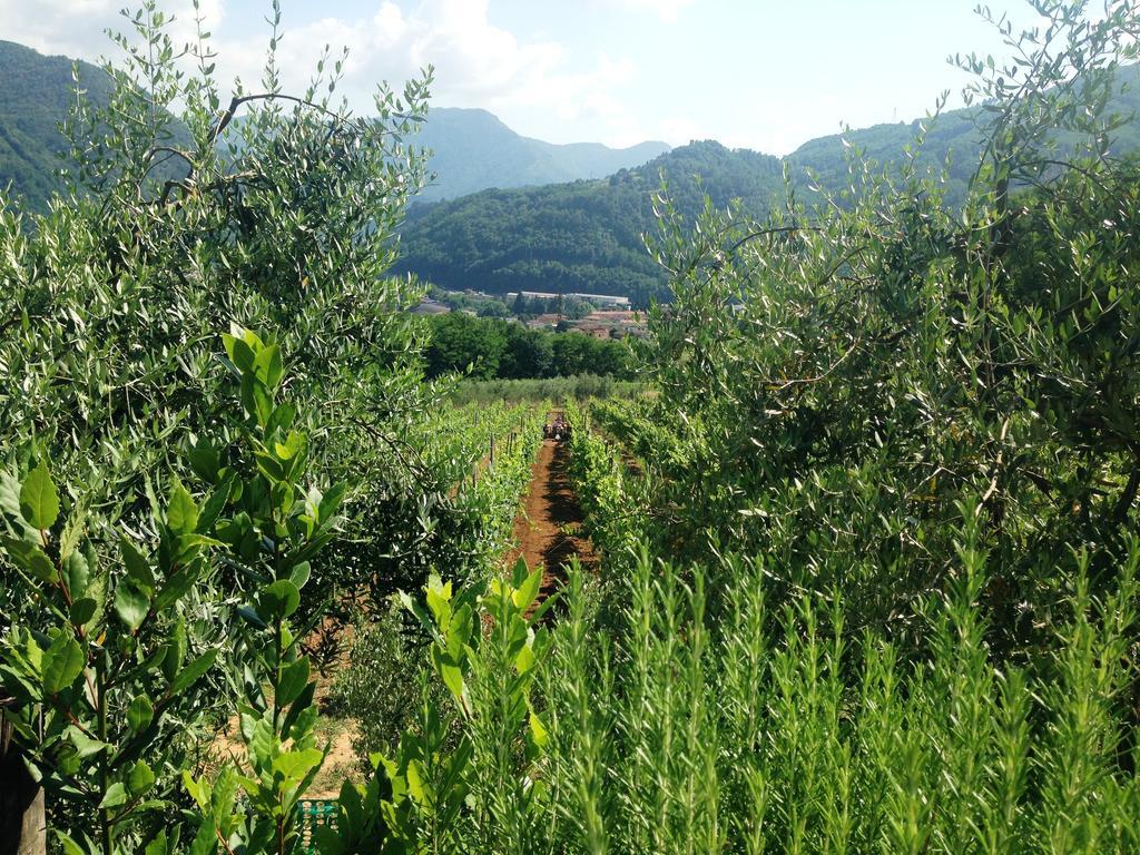 Tenuta La Fratta Country house